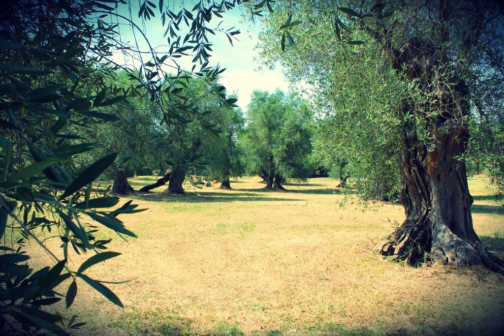 Citrigni Villa Peschici Dış mekan fotoğraf