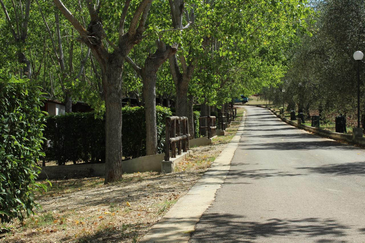 Citrigni Villa Peschici Dış mekan fotoğraf